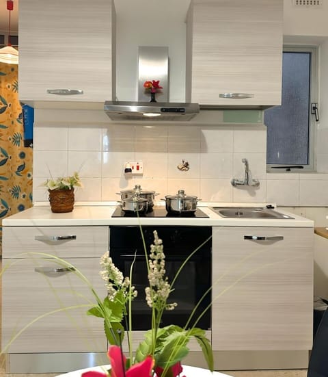 Standard Apartment, 1 Bedroom | Private kitchenette | Full-size fridge, microwave, oven, stovetop