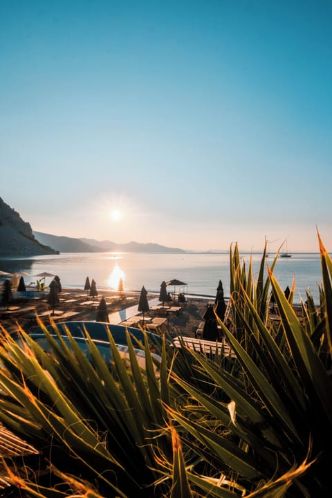 On the beach, free beach cabanas, beach shuttle, sun loungers