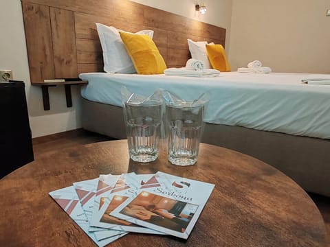 Standard Double Room | Desk, iron/ironing board, free WiFi, bed sheets