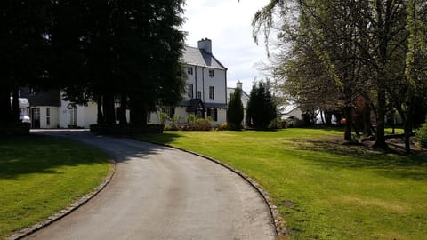 20170504_143704_001 (18)