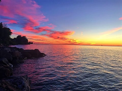 Taken from the deck!