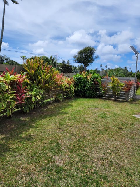Tropical garden and yard.