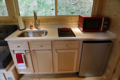 Small but mighty kitchen has an induction stovetop and mini fridge