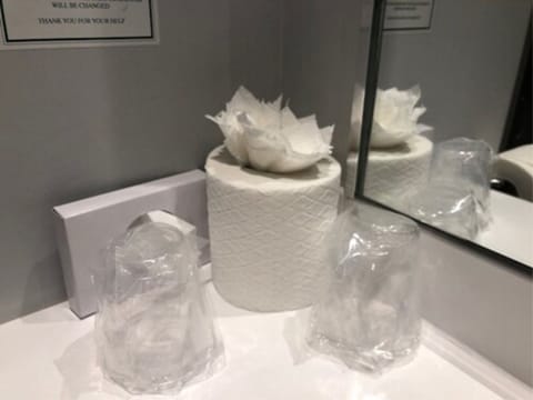 Free toiletries, hair dryer, towels