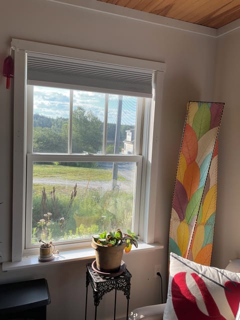 View from Living Room
