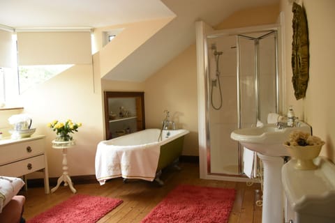 Combined shower/tub, free toiletries, hair dryer, towels