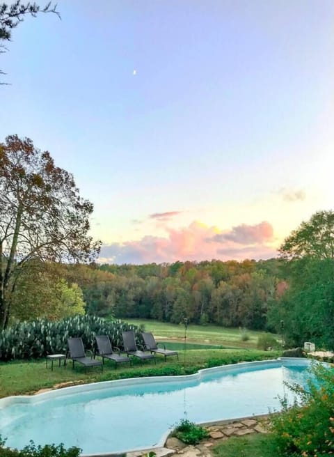 Live edge pool with a view!