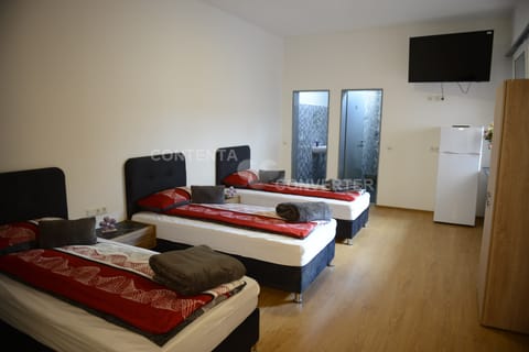 Triple Room | Desk, free WiFi