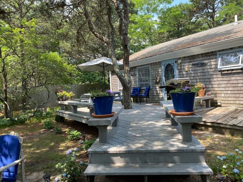 Welcome to Salt N’ Pepper Landing....