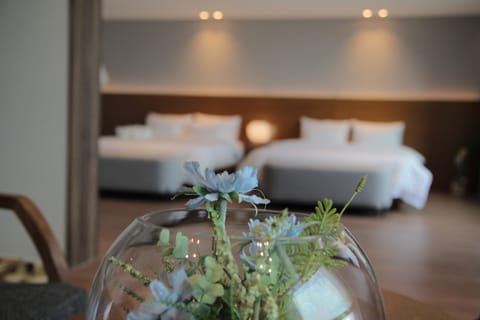 Ort Suite | Free WiFi, bed sheets