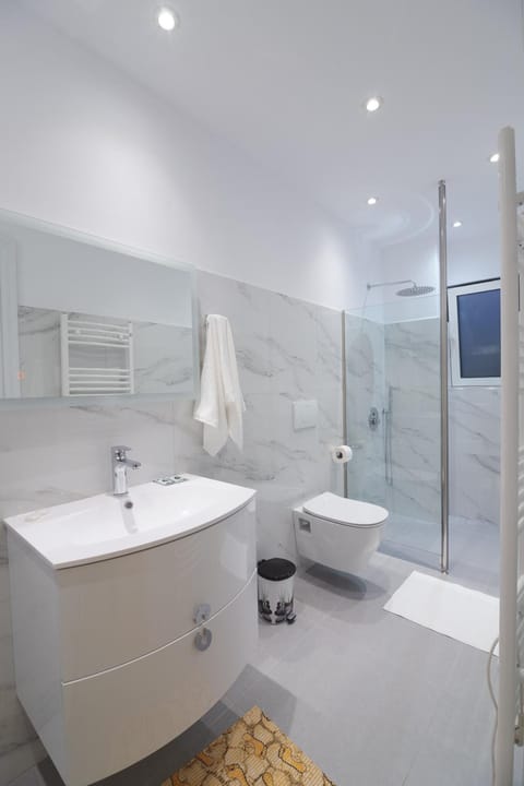 Shower, hydromassage showerhead, designer toiletries, hair dryer