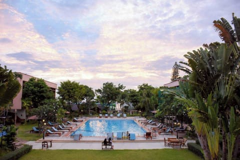 Outdoor pool, sun loungers