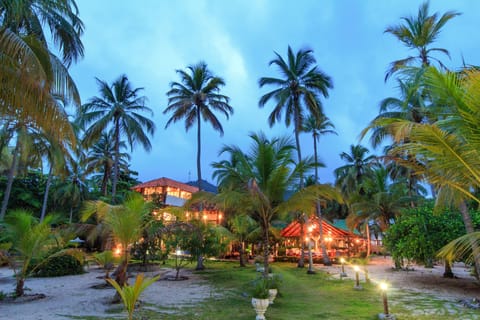 Garden view