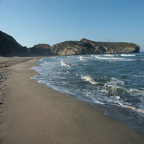 Beach/ocean view