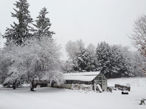 Greenhouse in winter