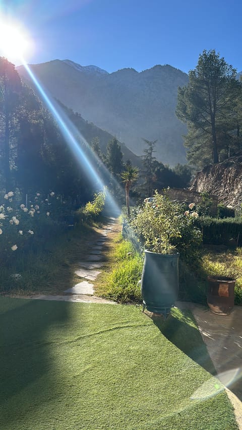 View from room