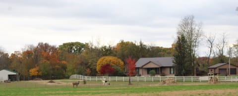 Welcome to the farm retreat.  Fall is the most beautiful time of year.