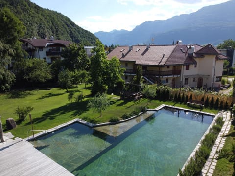 Outdoor pool, open 7:00 AM to 10:00 PM, sun loungers