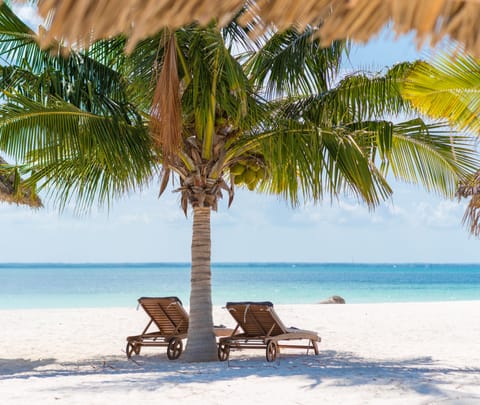 Private beach, white sand, free beach cabanas, sun loungers