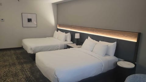 Premium bedding, in-room safe, desk, blackout drapes