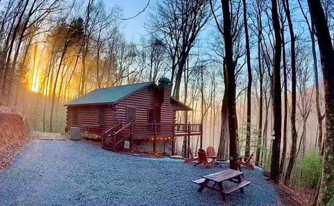 Beautiful morning at the cabin!  Room to roam outside in tranquil wooded setting