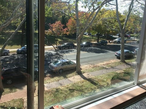 View from picture window