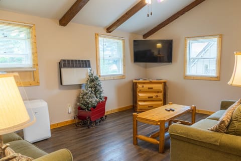 Living Room with 2 couches and Roku TV