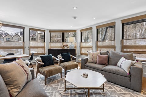 1.0-living-room-telluride-plunge-j- (2)