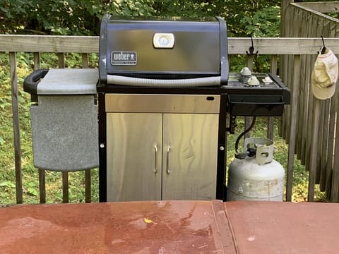 Weber grill