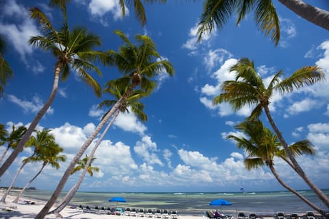 Smathers Beach