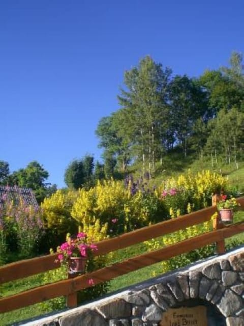 Garden, Park