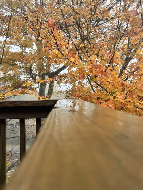 Upstairs deck in the Fall.
