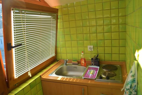 Panoramic Apartment, 1 Bedroom, Lake View | Premium bedding, desk, iron/ironing board, free cribs/infant beds