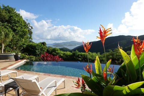 Enjoy your infinity pool that overlooks Cinnamon Bay with views of Tortola BVI on the horizon