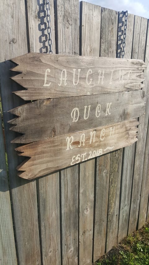 Laughing Duck Ranch!