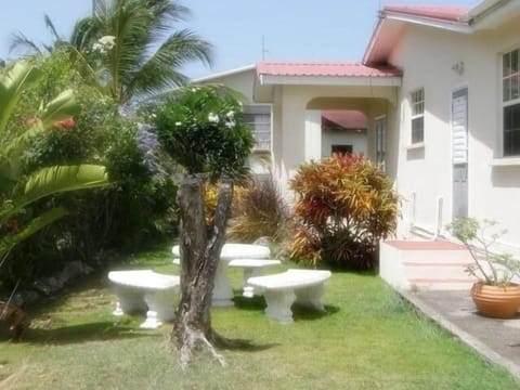Back Garden