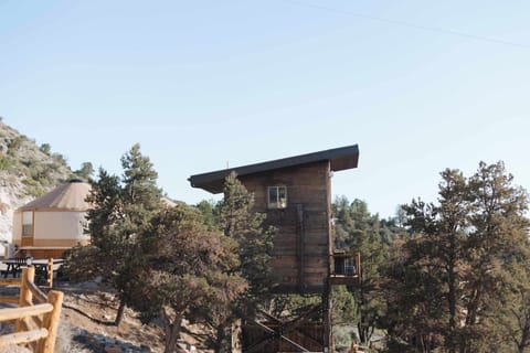 Enjoy stargazing from your plush king bed inside your East Zion Resort treehouse, a cozy and unique stay near Zion National Park and Bryce Canyon.
