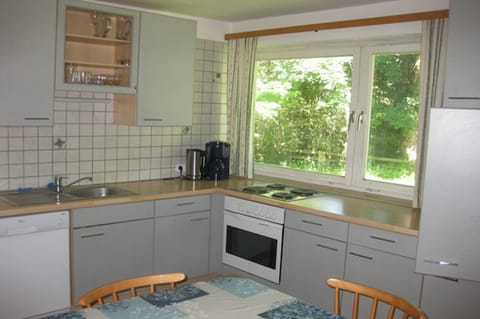 Family Apartment (vogelbeer) | Private kitchen | Fridge, microwave, oven, stovetop