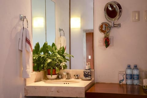 Petite Room | Bathroom | Shower, free toiletries, hair dryer, bathrobes