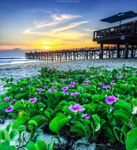Sunrise over the Flagler Beach Pier
