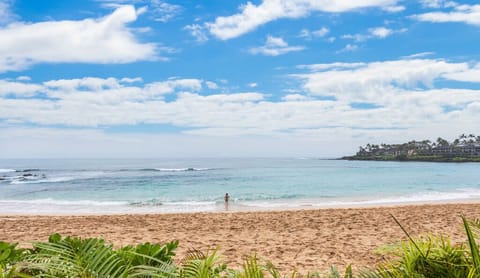 View from Condo 108, Napili Bay Resort
