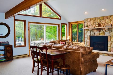 Living Room and Fireplace