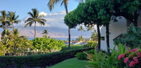 Breathtaking view from ten steps off the lanai