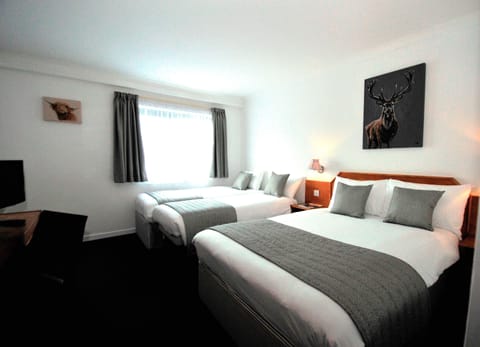 Room, Multiple Beds, Non Smoking | Extra beds