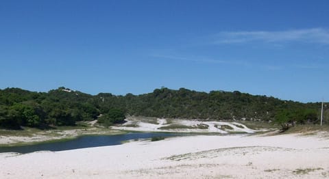 Ecotours