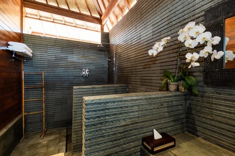 Shower, free toiletries, hair dryer, bathrobes