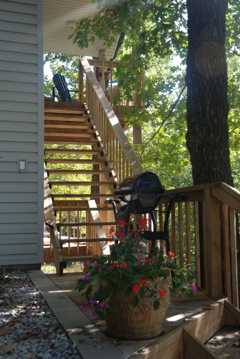 Entrance to Treehouse