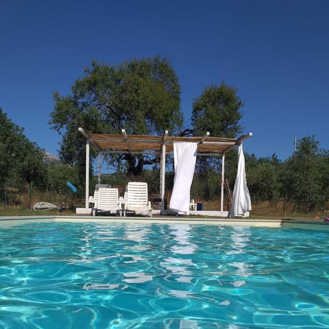Seasonal outdoor pool, pool umbrellas, sun loungers