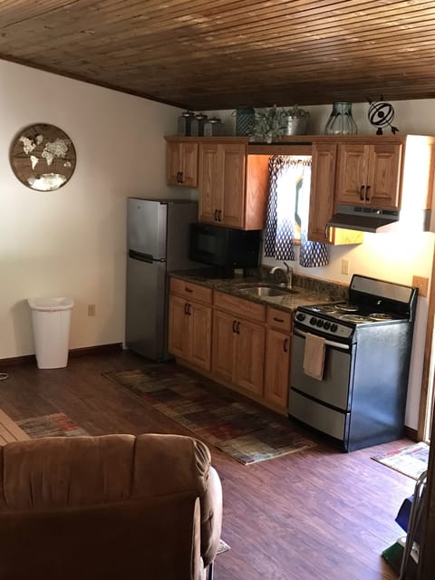 Cabin | Private kitchen | Fridge, microwave, coffee/tea maker