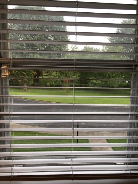 Beautiful green space in front for walks or runs